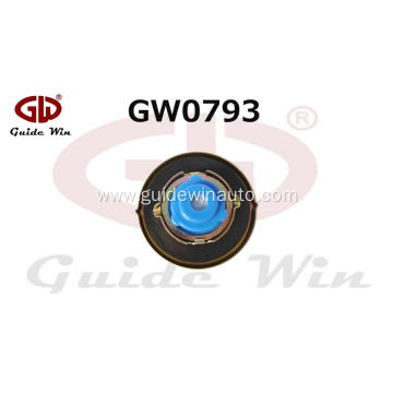 Automobile Gas Cap for Ford